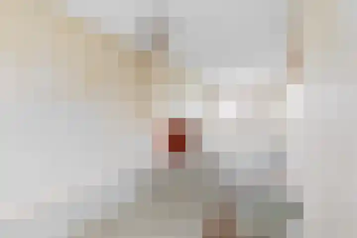 Jozef Israëlslaan 269 Rijswijk thumbnail 6