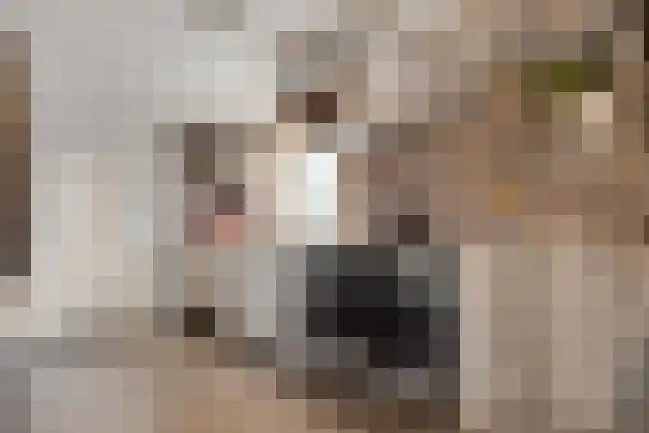 Jozef Israëlslaan 3 A Bosch en Duin thumbnail 10