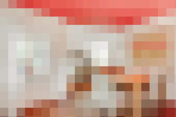 Jozef Israëlslaan 3 A Bosch en Duin thumbnail 12
