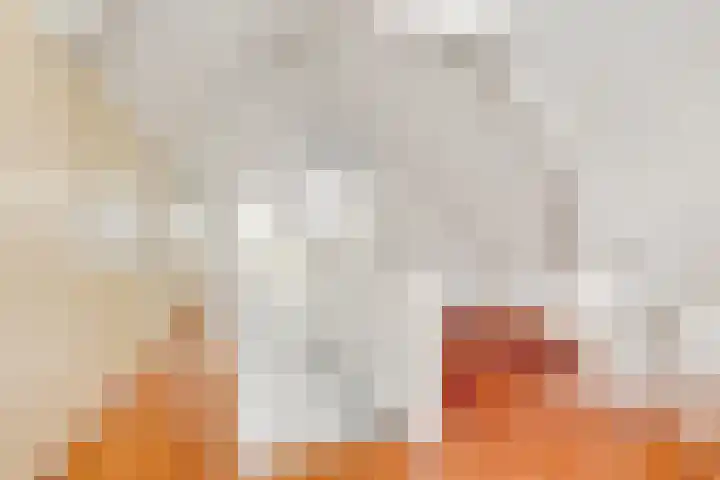Jozef Israëlslaan 3 A Bosch en Duin thumbnail 25