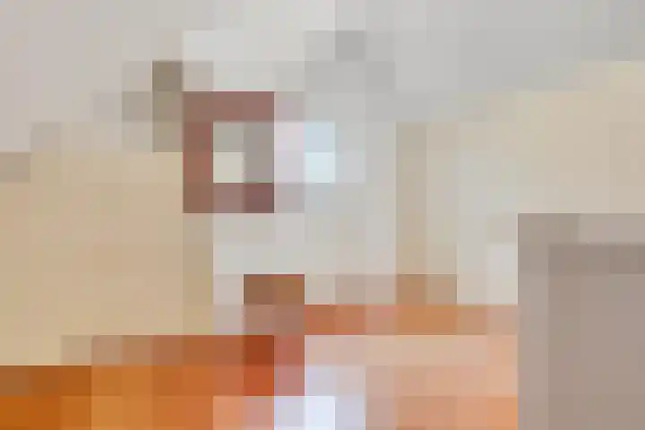 Jozef Israëlslaan 3 A Bosch en Duin thumbnail 26