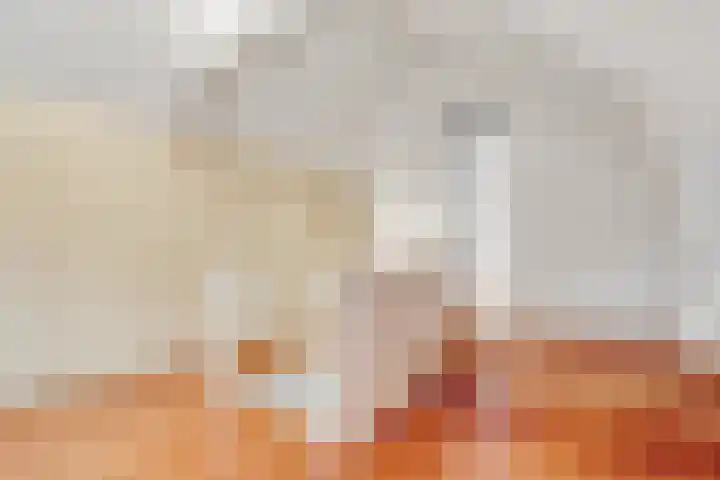 Jozef Israëlslaan 3 A Bosch en Duin thumbnail 27