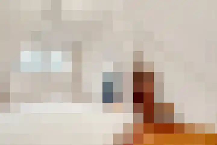 Jozef Israëlslaan 3 A Bosch en Duin thumbnail 32