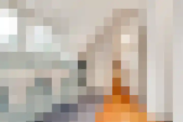 Jozef Israëlslaan 3 A Bosch en Duin thumbnail 33