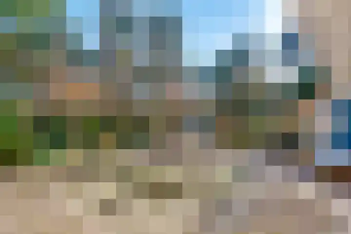 Jozef Israëlslaan 3 A Bosch en Duin thumbnail 36