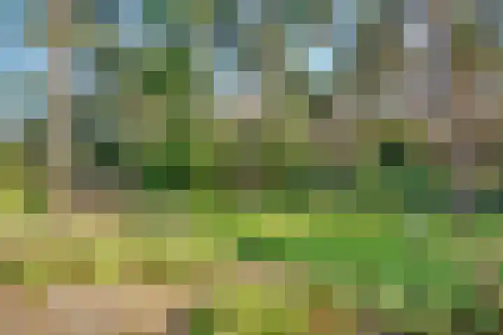 Jozef Israëlslaan 3 A Bosch en Duin thumbnail 37