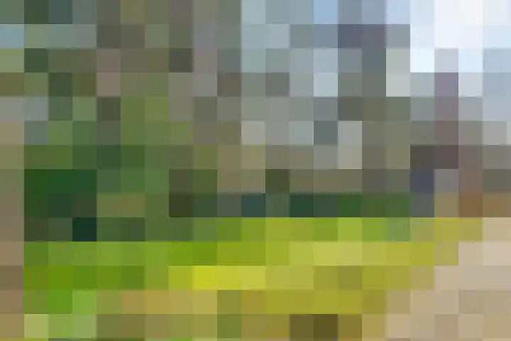 Jozef Israëlslaan 3 A Bosch en Duin thumbnail 38