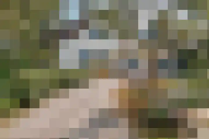 Jozef Israëlslaan 3 A Bosch en Duin thumbnail 4