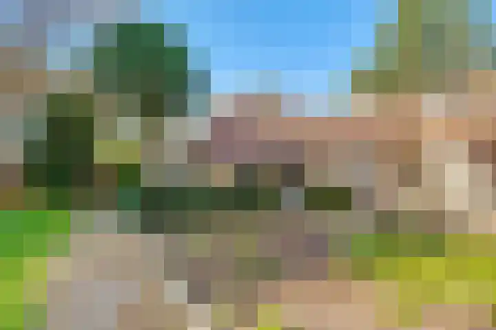 Jozef Israëlslaan 3 A Bosch en Duin thumbnail 41