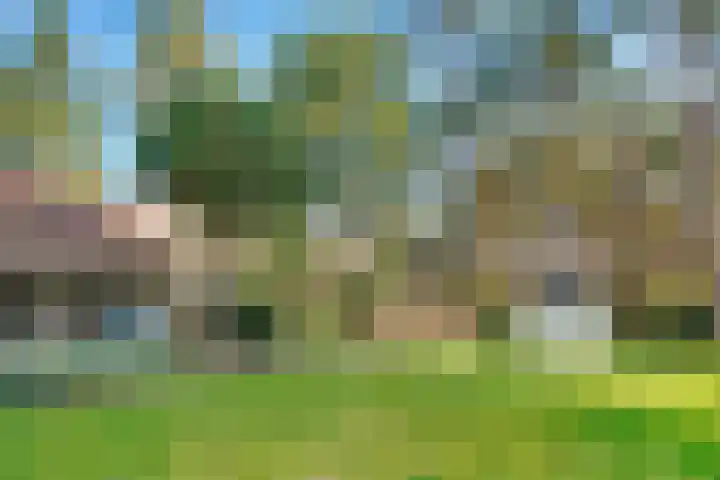 Jozef Israëlslaan 3 A Bosch en Duin thumbnail 42