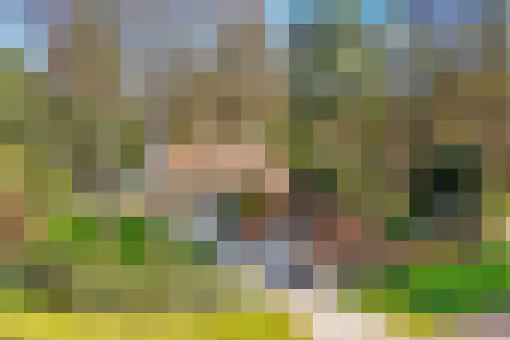 Jozef Israëlslaan 3 A Bosch en Duin thumbnail 43