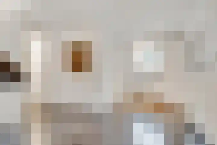 Jozef Israëlslaan 3 A Bosch en Duin thumbnail 6