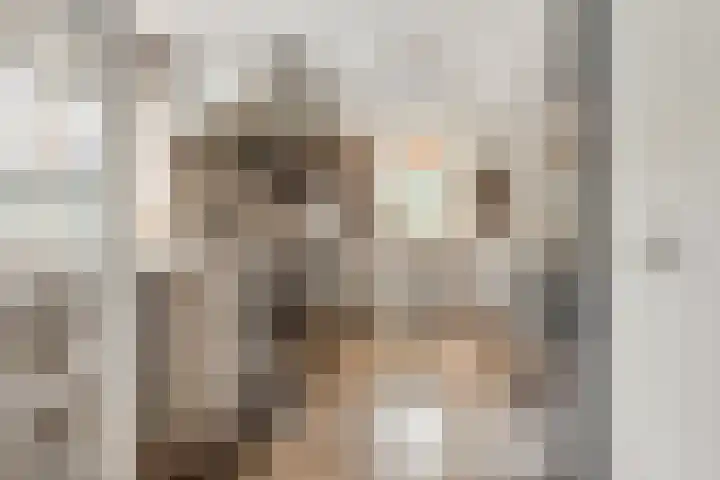 Jozef Israëlslaan 3 A Bosch en Duin thumbnail 8
