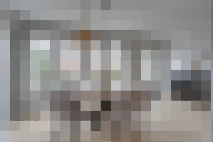 Jozef Israëlslaan 3 Woudenberg thumbnail 14