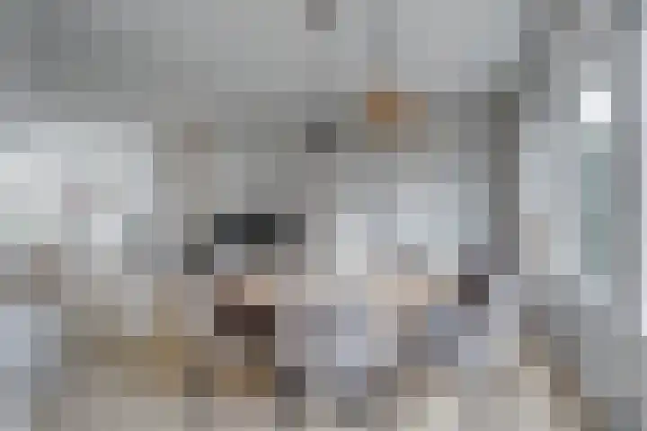 Jozef Israëlslaan 3 Woudenberg thumbnail 15
