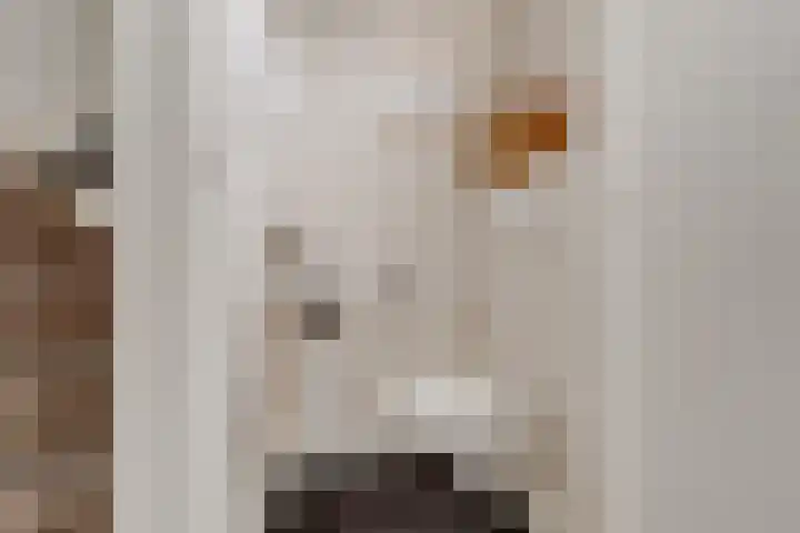 Jozef Israëlslaan 3 Woudenberg thumbnail 22