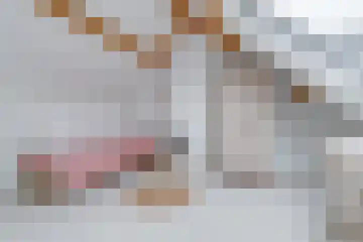 Jozef Israëlslaan 3 Woudenberg thumbnail 37