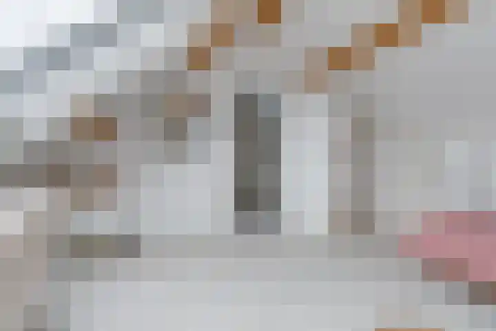 Jozef Israëlslaan 3 Woudenberg thumbnail 39