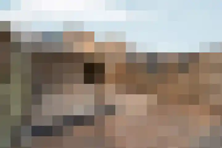 Jozef Israëlslaan 31 Almere thumbnail 31