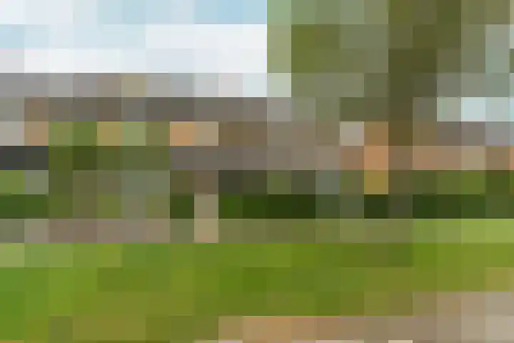 Jozef Israëlslaan 31 Almere thumbnail 5