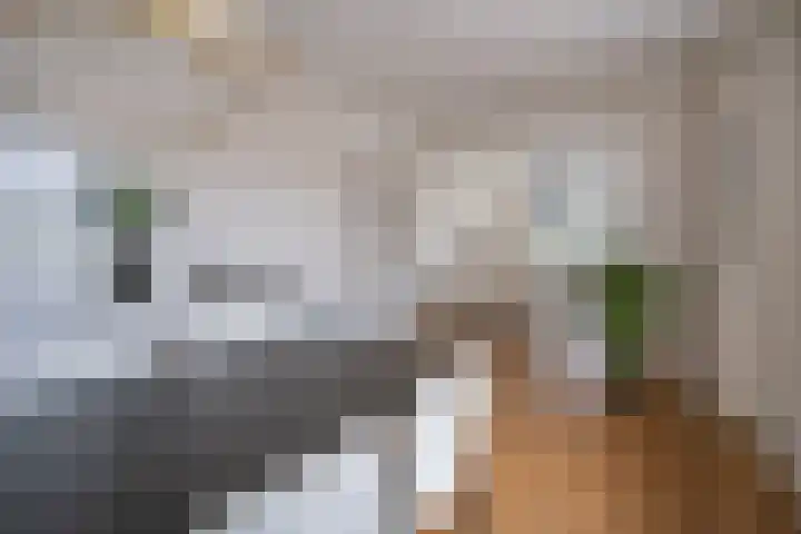 Jozef Israëlslaan 319 Rijswijk thumbnail 12