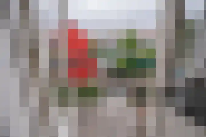 Jozef Israëlslaan 319 Rijswijk thumbnail 18
