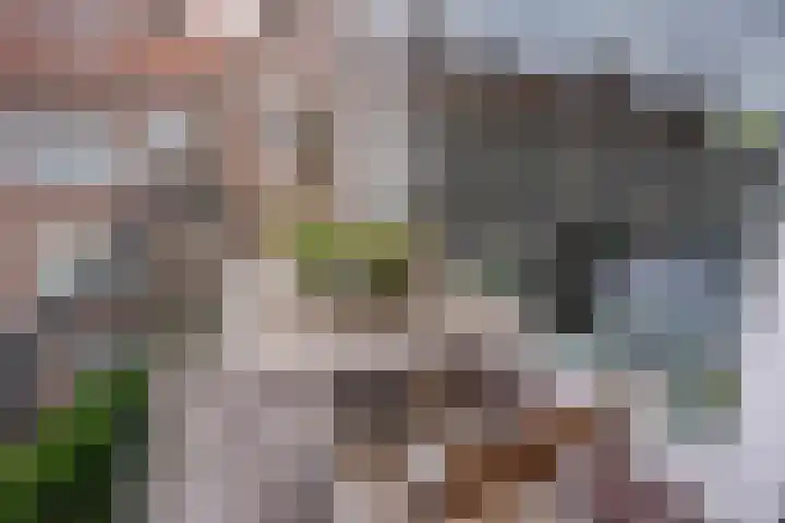 Jozef Israëlslaan 319 Rijswijk thumbnail 19