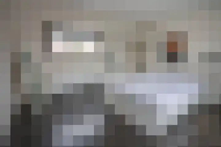 Jozef Israëlslaan 319 Rijswijk thumbnail 27
