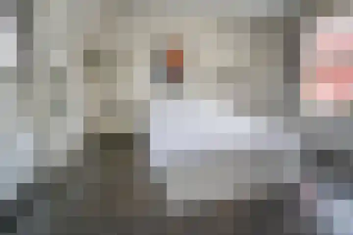 Jozef Israëlslaan 319 Rijswijk thumbnail 28