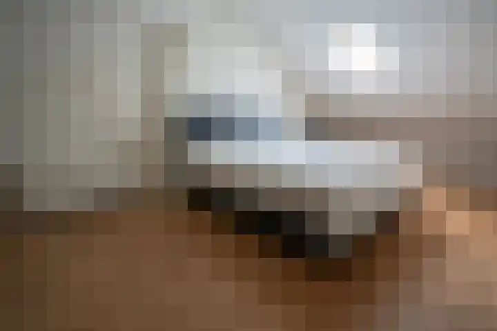 Jozef Israëlslaan 319 Rijswijk thumbnail 31