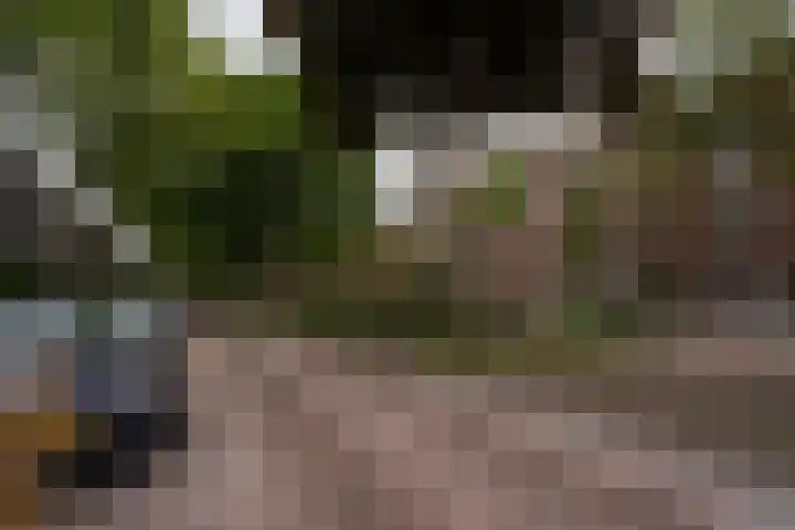 Jozef Israëlslaan 319 Rijswijk thumbnail 34