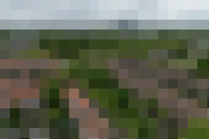 Jozef Israëlslaan 319 Rijswijk thumbnail 36