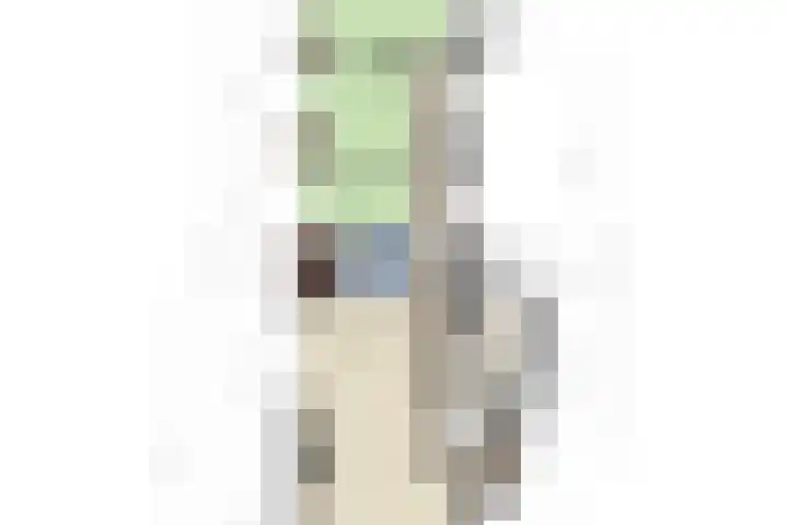 Jozef Israëlslaan 319 Rijswijk thumbnail 37