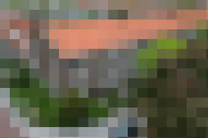Jozef Israëlslaan 319 Rijswijk thumbnail 4