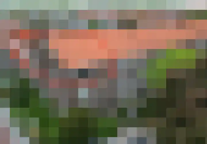 Jozef Israëlslaan 319 Rijswijk thumbnail 40