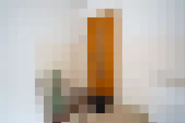Jozef Israëlslaan 319 Rijswijk thumbnail 7