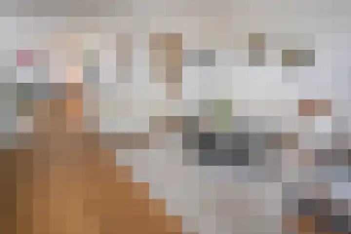 Jozef Israëlslaan 319 Rijswijk thumbnail 8