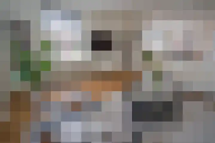 Jozef Israëlslaan 319 Rijswijk thumbnail 9