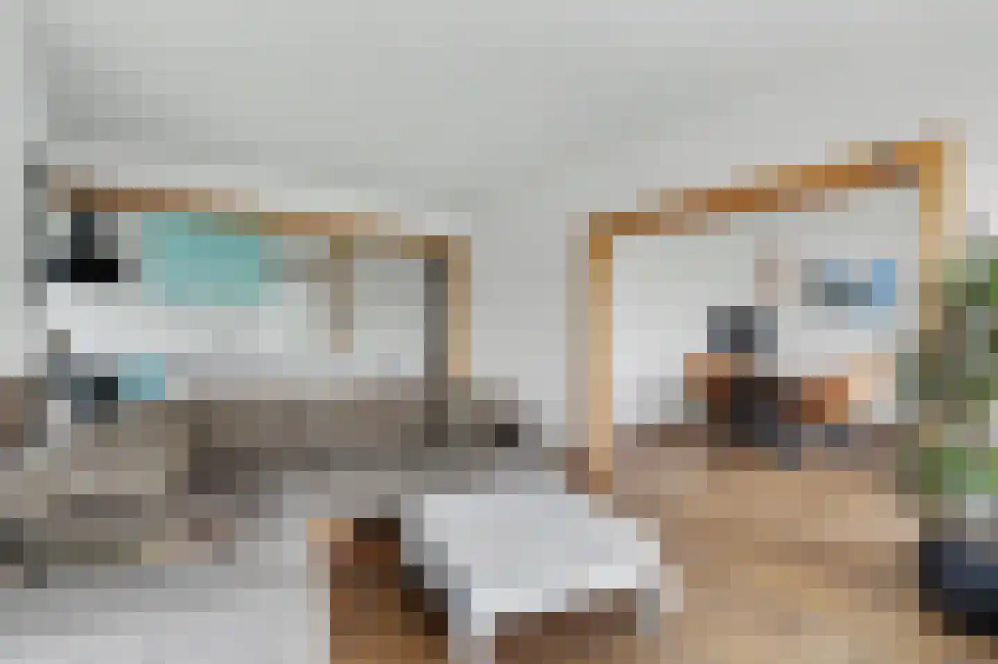 Jozef Israëlslaan 33 Rijswijk thumbnail 22