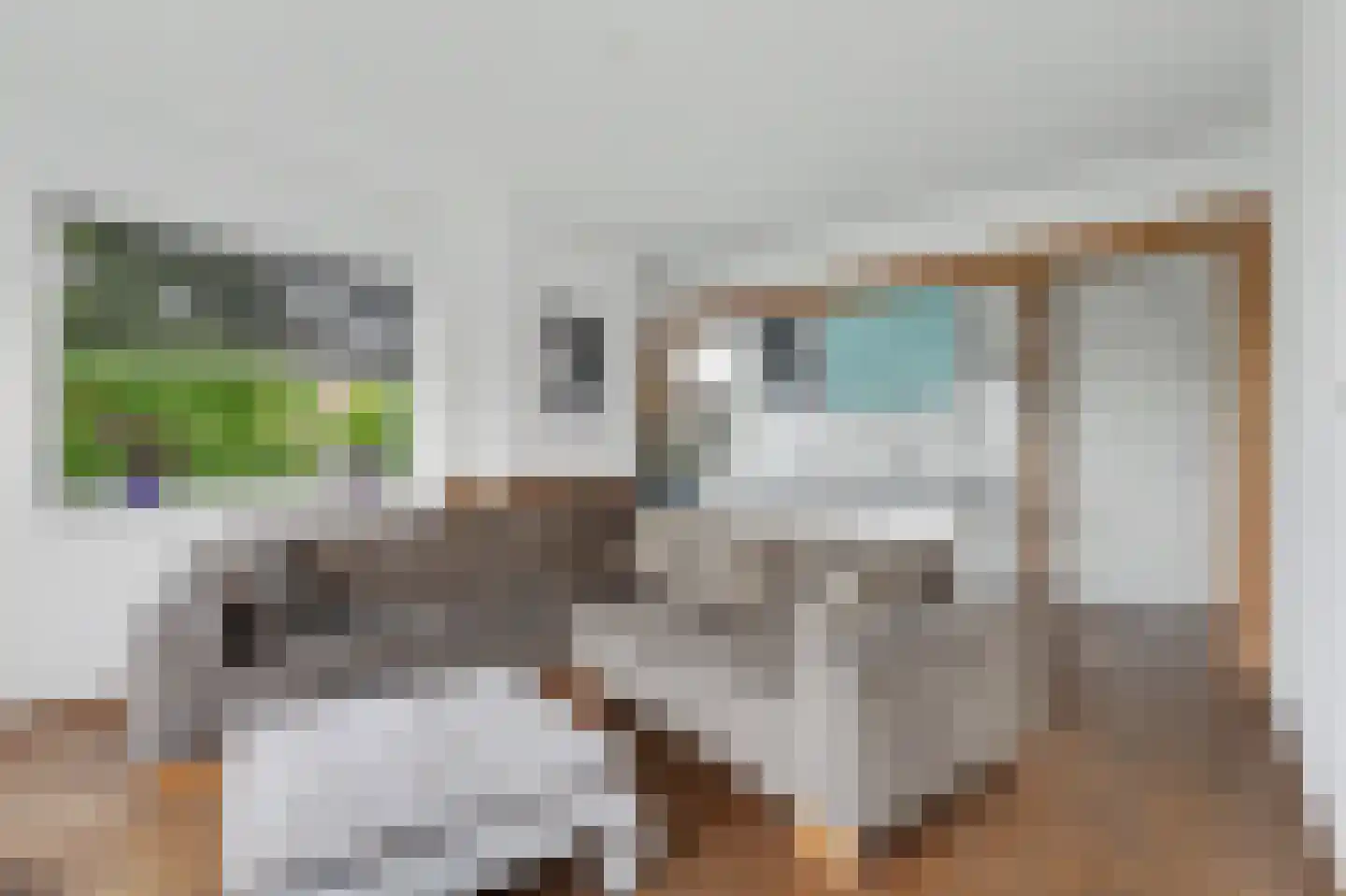 Jozef Israëlslaan 33 Rijswijk thumbnail 23