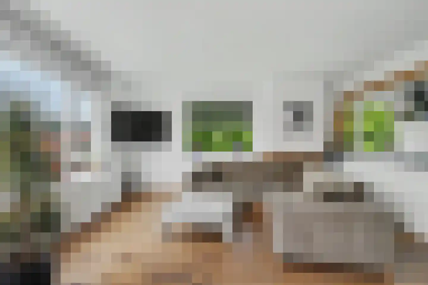 Jozef Israëlslaan 33 Rijswijk thumbnail 4