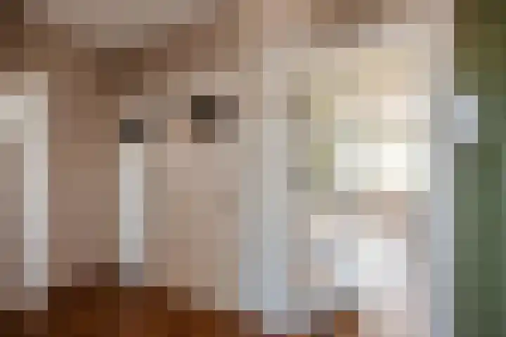 Jozef Israëlslaan 37 Rijswijk thumbnail 12