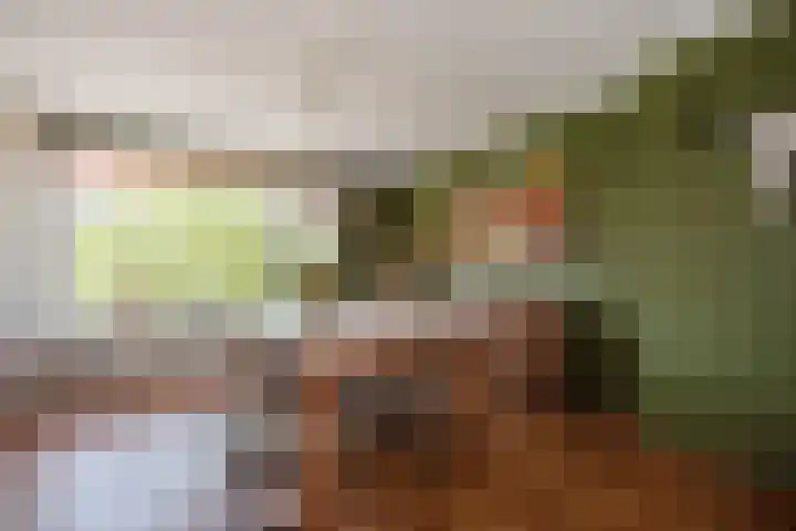 Jozef Israëlslaan 37 Rijswijk thumbnail 15