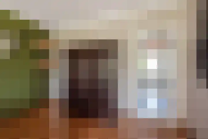 Jozef Israëlslaan 37 Rijswijk thumbnail 21
