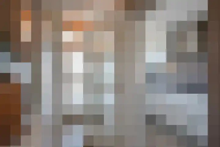 Jozef Israëlslaan 37 Rijswijk thumbnail 22