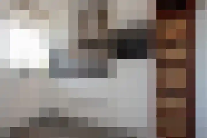 Jozef Israëlslaan 37 Rijswijk thumbnail 23