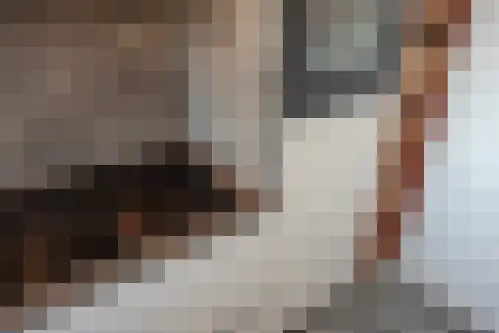 Jozef Israëlslaan 37 Rijswijk thumbnail 25