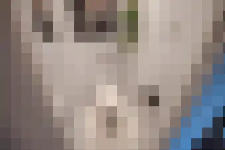 Jozef Israëlslaan 37 Rijswijk thumbnail 30