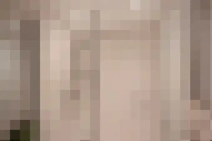 Jozef Israëlslaan 37 Rijswijk thumbnail 32