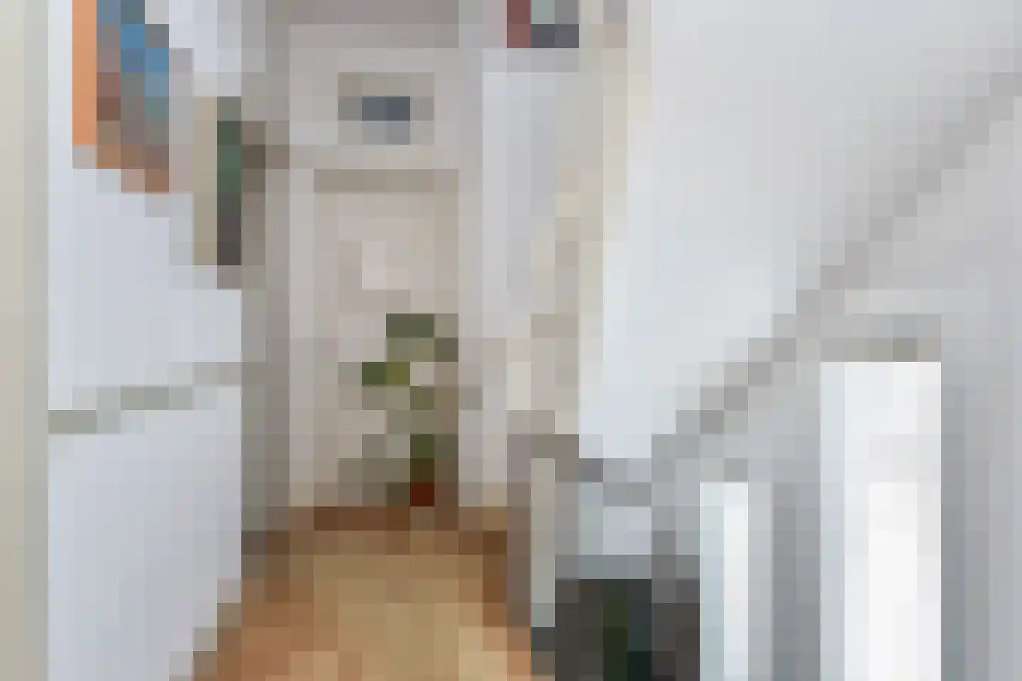 Jozef Israëlslaan 38 Den Haag thumbnail 30